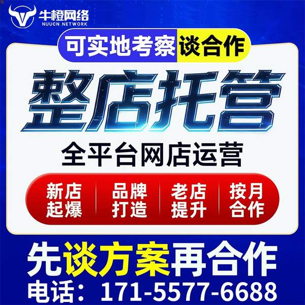 大冶电商代运营