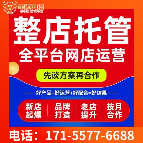 大冶电商代运营