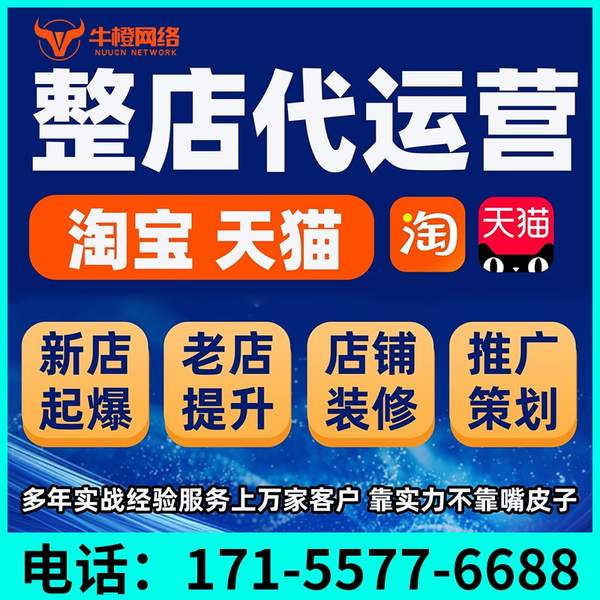 大冶电商代运营