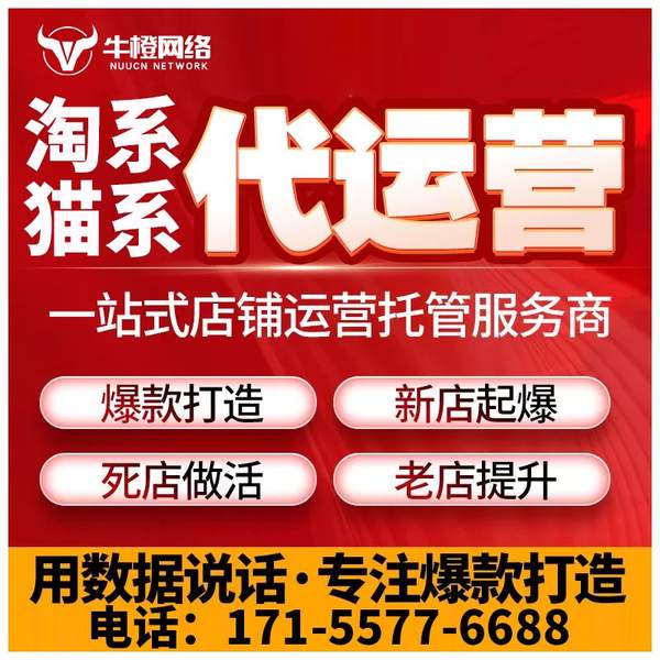 大冶电商代运营